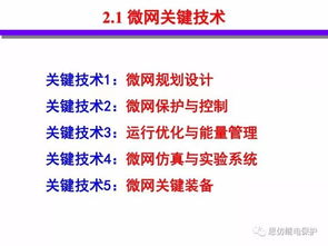 分布式能源智能微網技術與發展 網絡技術研究的關鍵角色與前沿趨勢